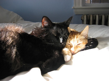 Brotherly love for Micki and Tovy Brotherly love for Micki and Tovy